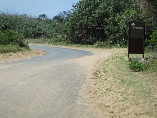 following and cycling upon the coastal road.